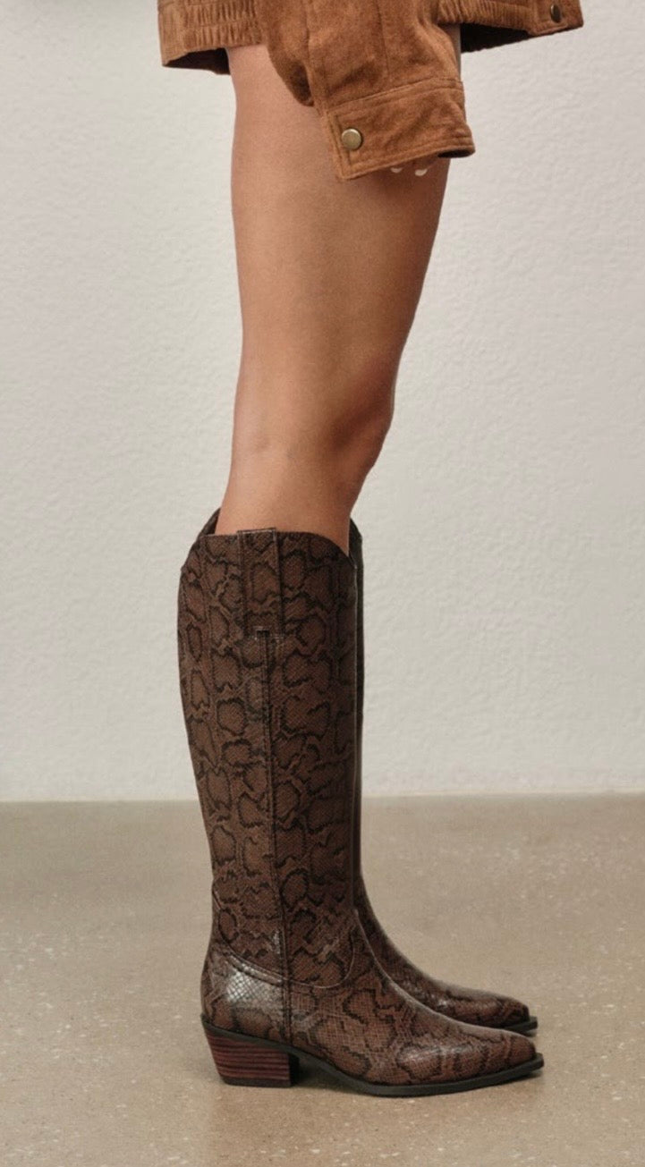 Meredith in Chocolate Snake