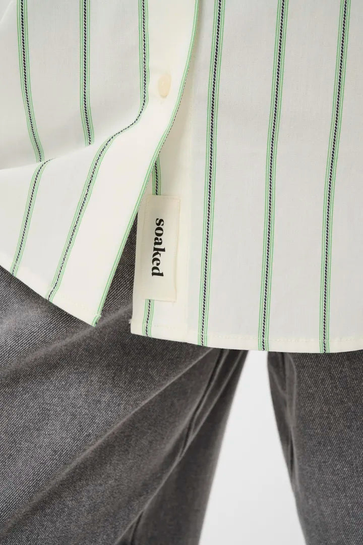 Noelle Striped Buttondown in Vibrant Green + White Stripes