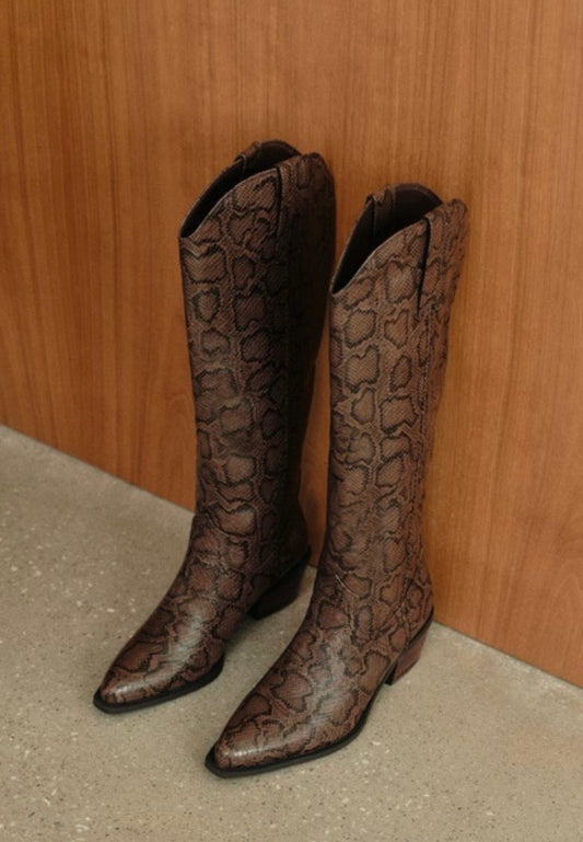 Meredith in Chocolate Snake